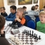 Московский областной шахматный турнир 24