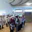 День сердца 3 День сердца 3