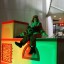 В Красногорске засияла главная елочка города! 4 В Красногорске засияла главная елочка города! 4