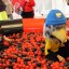 Спортивный праздник 2