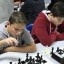 170 спортсменов поучаствовали в открытом турнире &laquo;Золотая ладья&raquo; 1