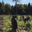 Экологическая акция &laquo;Наш лес. Посади свое дерево&raquo; 1