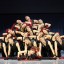15-летие школы современного танца «Про-движение» 5 15-летие школы современного танца «Про-движение» 5