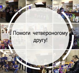 Итоги проведения благотворительной акции  &laquo;Помоги четвероногому другу&raquo;