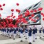 День открытых дверей 0