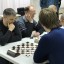 Спартакиада трудовых коллективов городского округа Красногорск турнир по шашкам 1 Спартакиада трудовых коллективов городского округа Красногорск турнир по шашкам 1