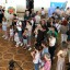 День открытых дверей 0