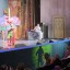 Юбилейная программа Юрия Куклачева 2
