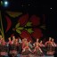 Концерт «Наш год в танце» 5 Концерт «Наш год в танце» 5