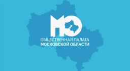 Выступление претендентов на членство в Общественной палате МО