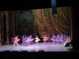 Балет &laquo;Спящая красавица&raquo;